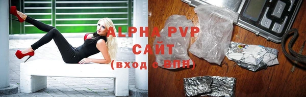 прущие грибы Михайловск