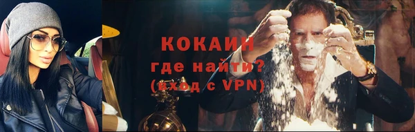 дмт Абаза