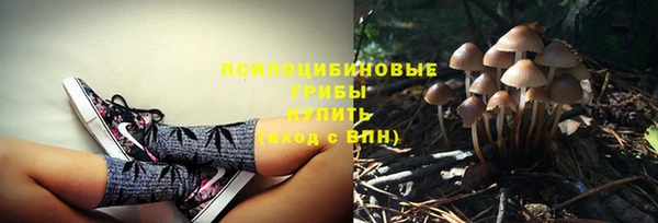 дмт Абаза