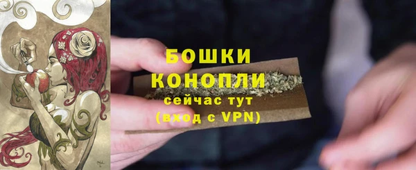 прущие грибы Михайловск