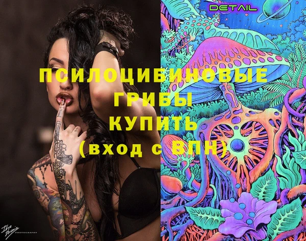 стаф Абдулино